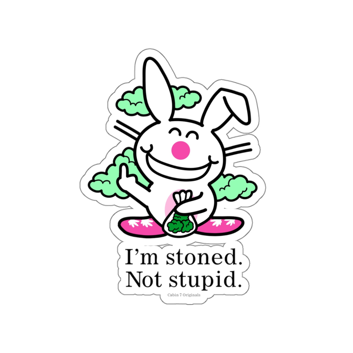 Stoned Not Stupid Sticker