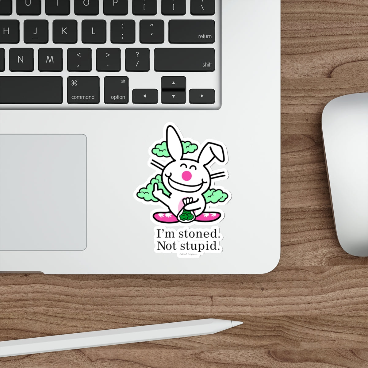Stoned Not Stupid Sticker