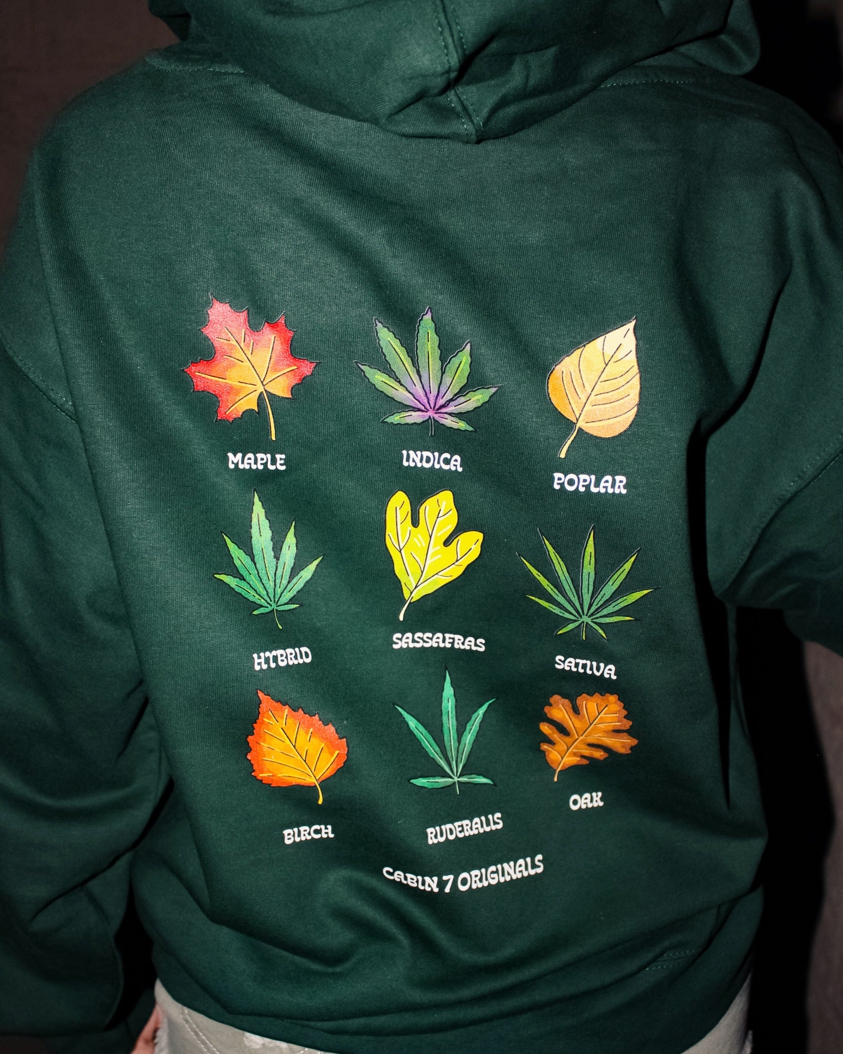 Fall Leaves Hoodie