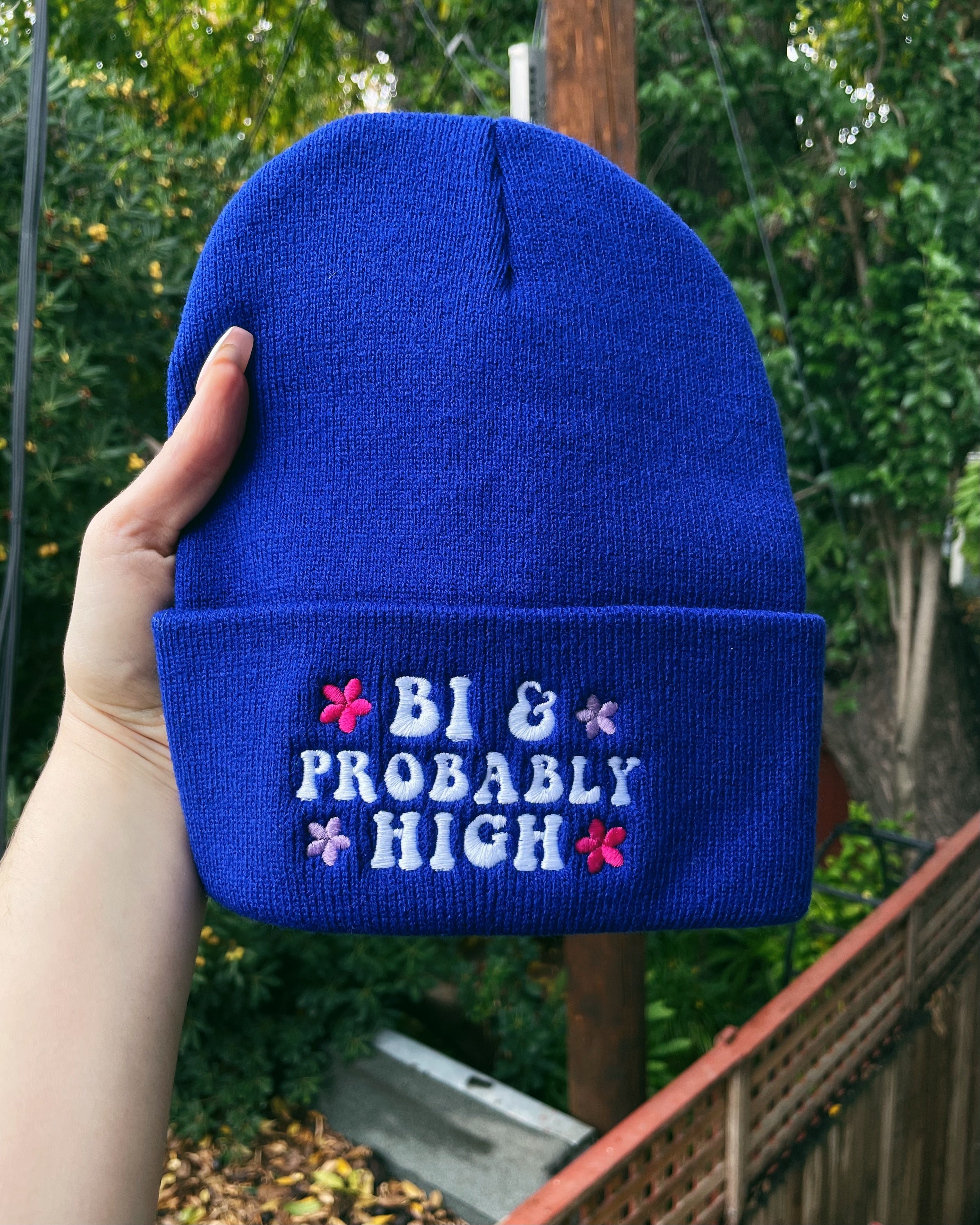 🎁 Bi & Probably High Beanie (100% off)