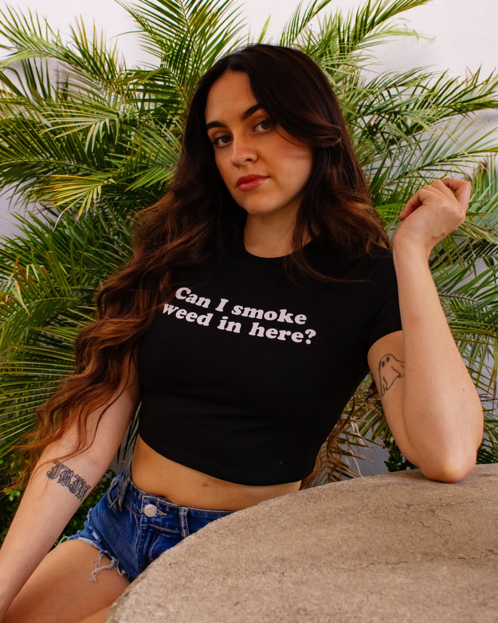 Can I Smoke Weed In Here? Crop Top